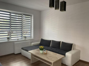 Apartament w Centrum Malborka in Marienburg